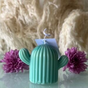 Cactus - Vela aromática & decorativa