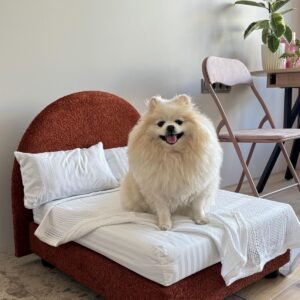 Pet bed arco